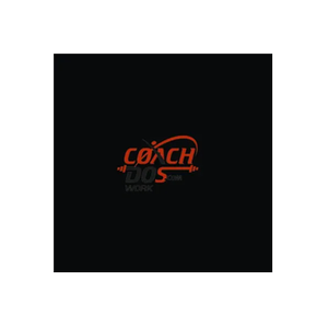 Coach Dos brand logo for coachdos.com