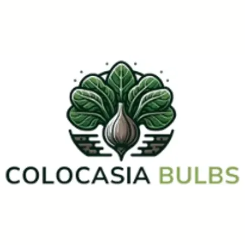 colocasiabulbs brand logo for colocasiabulbs.com