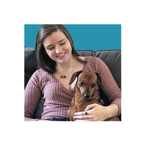 Comfort Connects brand logo for comfortconnects.com