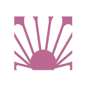 Concha Nacar brand logo for conchanacar.com
