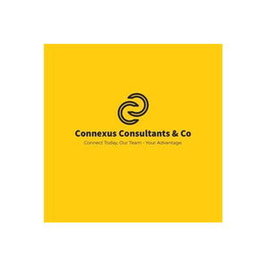 Connexus brand logo for connexusconsultants.co.uk