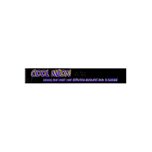 Cool Neon brand logo for coolneon.com
