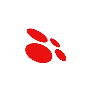 Copernica brand logo for copernica.com