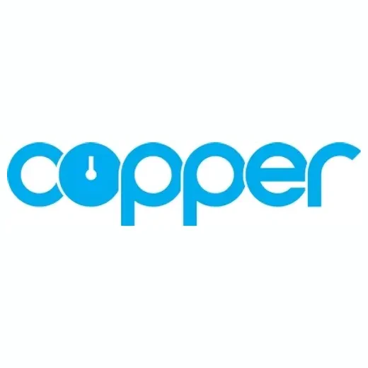 copperproject brand logo for copperproject.com