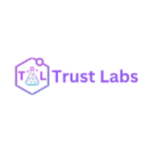 coretrustlab brand logo for coretrustlab.co