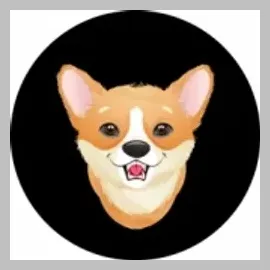corgistudio brand logo for corgistudio.io