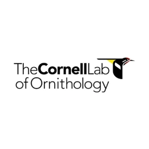 Cornell Lab of Ornithology brand logo for birds.cornell.edu