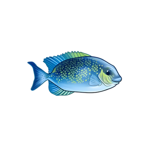 Cornwall Aquatics brand logo for cornwallaquatics.com