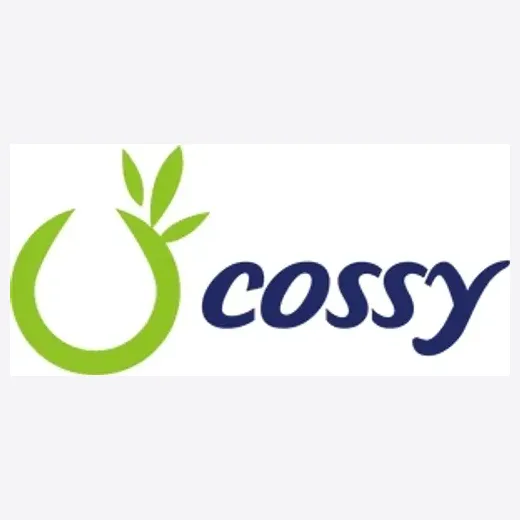 Cossy Kids brand logo for cossykids.com