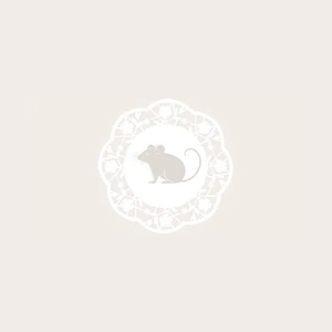 countrymouseprints brand logo for countrymouseprints.com