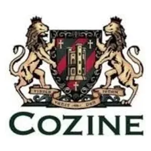 Cozine brand logo for cozine.com