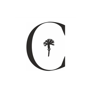 Craveiral brand logo for craveiral.pt