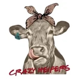 Crazy Heifers brand logo for crazyheifers.myshopify.com