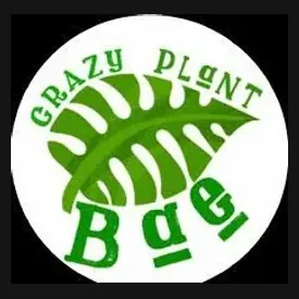 Crazy Plant Bae brand logo for crazyplantbae.com