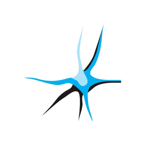 Creative Brains brand logo for creativebrains.eu