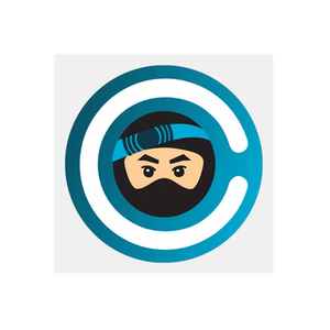CreditNinja brand logo for creditninja.com
