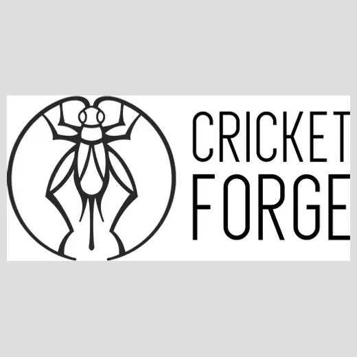 Cricket Forge brand logo for cricketforge.com
