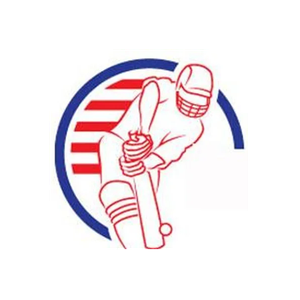 Cricket Store Online brand logo for cricketstoreonline.com