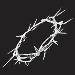 Crown of Thorns brand logo for crownofthorns.co