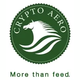 Crypto Aero brand logo for cryptoaero.com