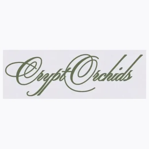 Crypto Orchids brand logo for cryptorchids.io