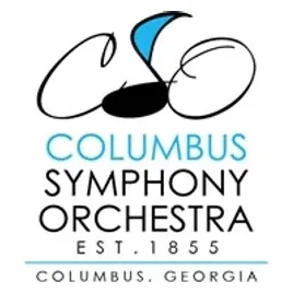 CSO of GA brand logo for csoga.org