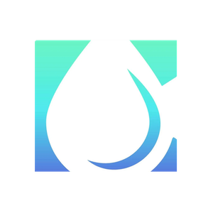CSpring brand logo for cspring.store
