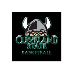 CSU Vikings brand logo for csuvikings.com