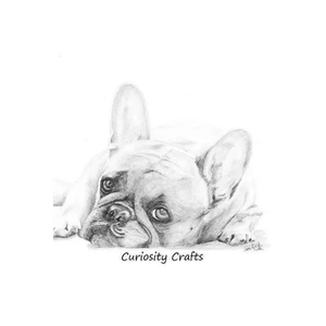 Curiosity Crafts brand logo for curiositycrafts.co.uk