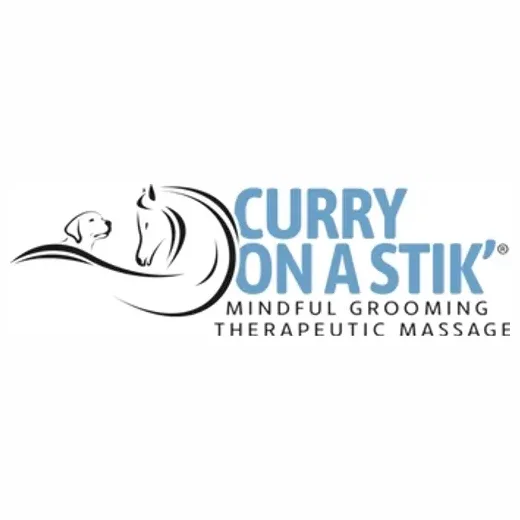 Curry on a Stik brand logo for curryonastik.com
