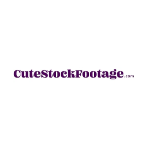 Cute Stock Footage brand logo for cutestockfootage.com