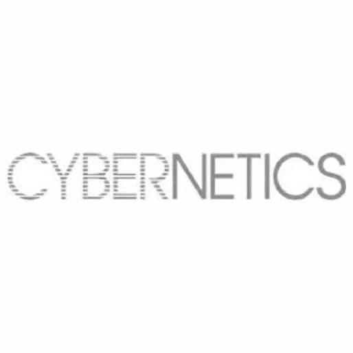 Cybernetics brand logo for cybernetics.com