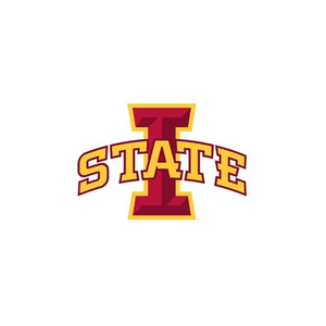Cyclones brand logo for cyclones.com