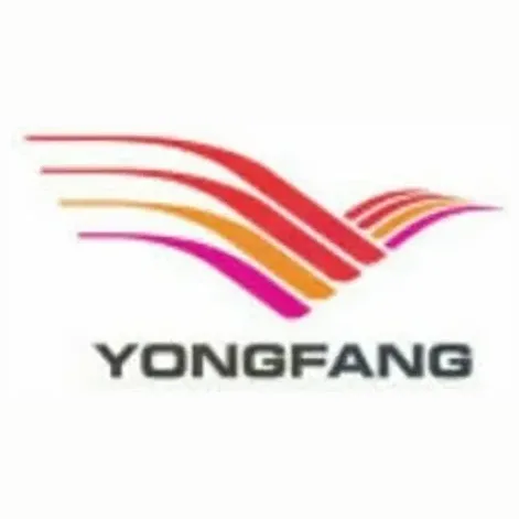 D.G. Yongfang brand logo for dgyongfang.com