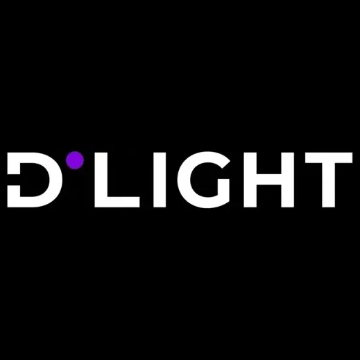 d.light brand logo for dlightmall.com