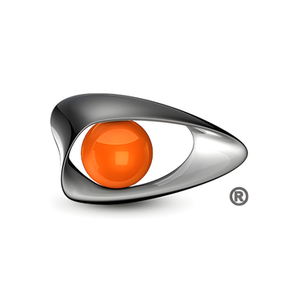 D-Sight brand logo for d-sight.com