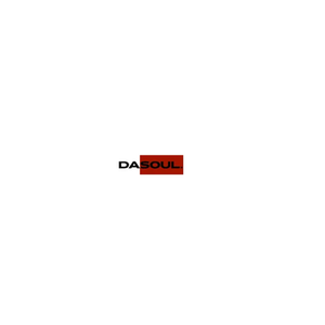 Da Soul brand logo for dasoulinc.com