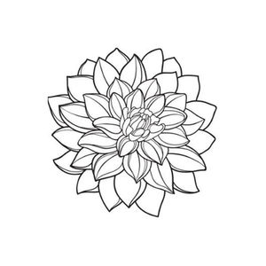 Dahlia's Boutique brand logo for dahliasboutique.shop