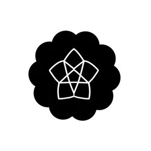 Daisy Street brand logo for daisystreet.co.uk