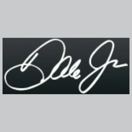 Dale Jr. brand logo for dalejr.com