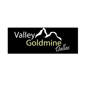 Dallas Valley brand logo for dallasvalleygoldmine.com