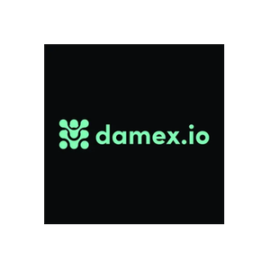 Damex brand logo for damex.io