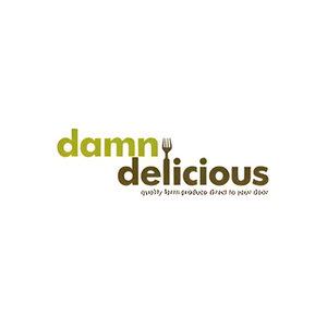Damn Delicious brand logo for damndelicious.co.uk