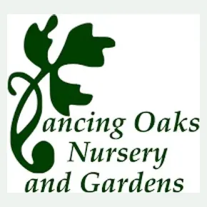 Dancing Oaks brand logo for dancingoaks.com