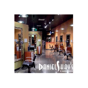 Daniel Shays brand logo for danielshays.com