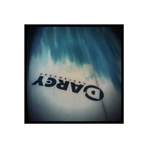Darcy Surfboards brand logo for darcysurfboards.com