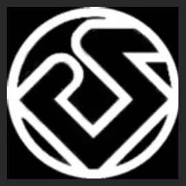 Darkside Motoring brand logo for darksidemotoring.com