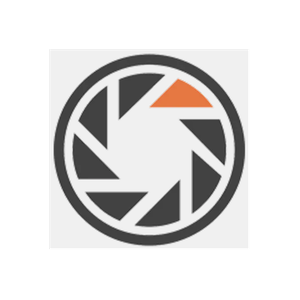Dash Witness brand logo for dashwitness.com