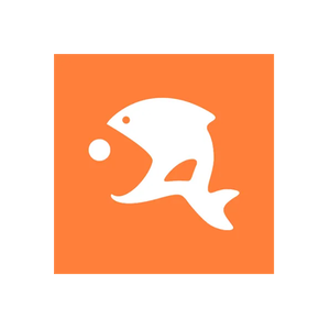 Data Fisher brand logo for datafisher.com