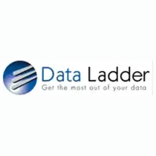 Data Ladder brand logo for dataladder.com